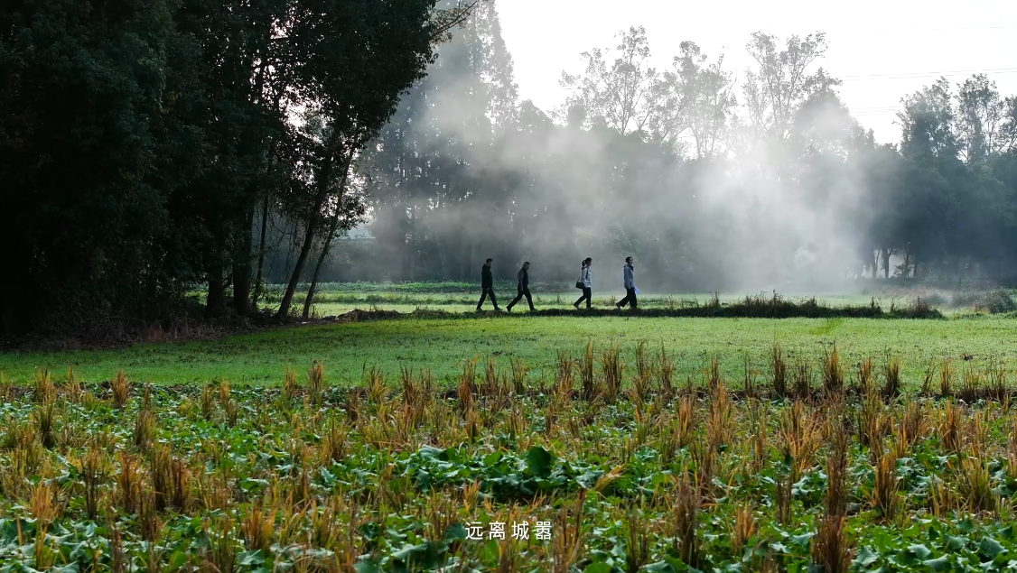蜀中吴《觅食记》